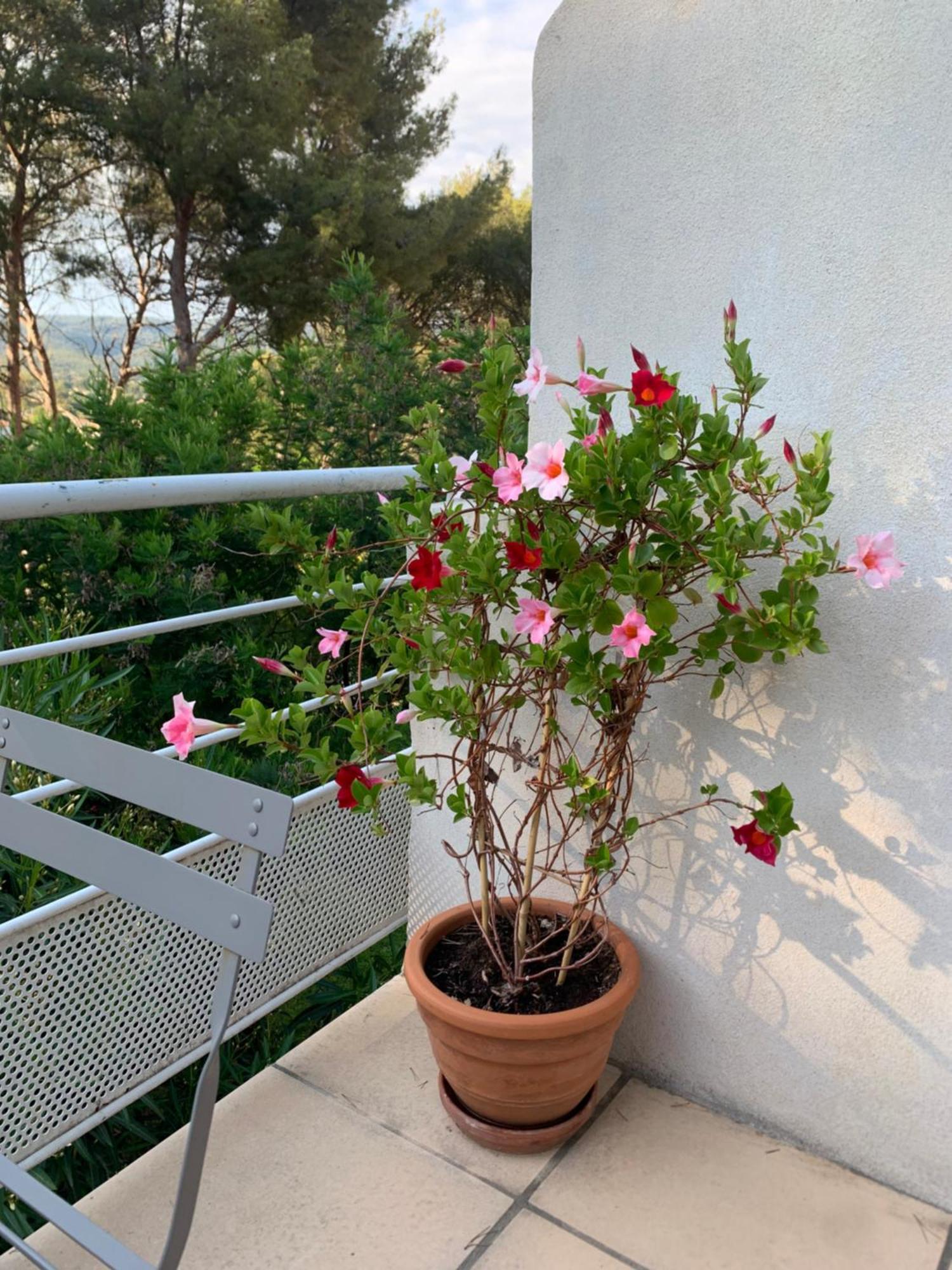 Appartement Duplex La Ciotat Exteriér fotografie
